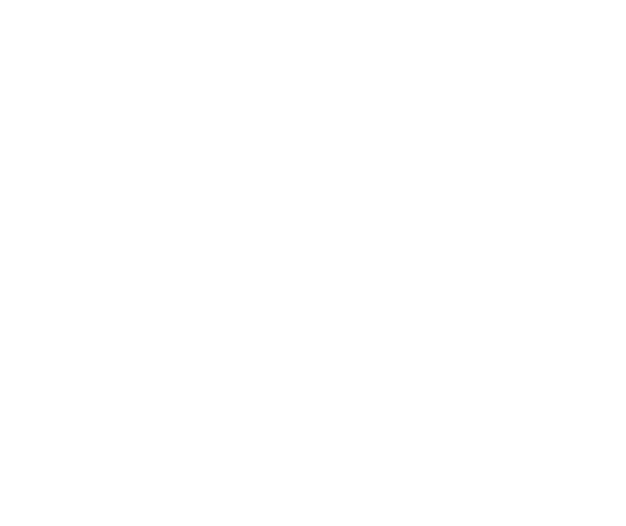 https://whollyhearty.com/app/uploads/2024/10/header-banner-logo.png